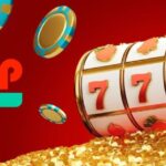 PinUp kazinoda yeniliklər və xəbərlər: son dəyişikliklər